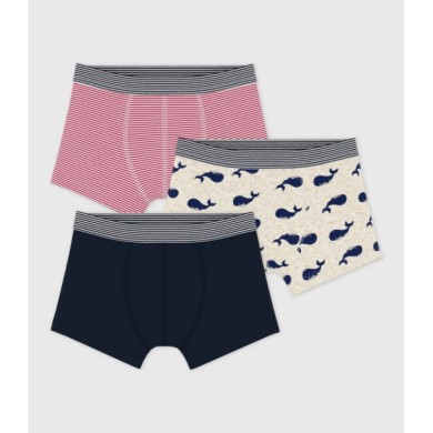 ΣΕΤ 3 ΤΕΜΑΧΙΩΝ ΒΑΜΒΑΚΕΡΑ ΜΠΟΞΕΡΑΚΙΑ ΜΕ ΜΟΤΙΒΟ ΦΑΛΑΙΝΑ  ΓΙΑ ΑΓΟΡΙ.