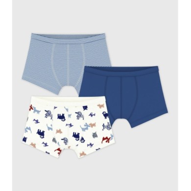 ΣΕΤ 3 ΤΕΜΑΧΙΩΝ ΒΑΜΒΑΚΕΡΑ ΜΠΟΞΕΡΑΚΙΑ ΜΕ ΜΟΤΙΒΟ ΣΚΥΛΟ ΓΙΑ ΑΓΟΡΙ.